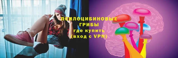 spice Тавда