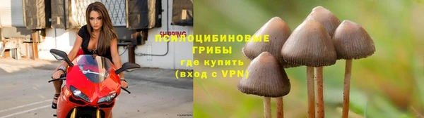 ГАЛЛЮЦИНОГЕННЫЕ ГРИБЫ Беломорск
