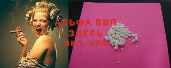PSILOCYBIN Белокуриха