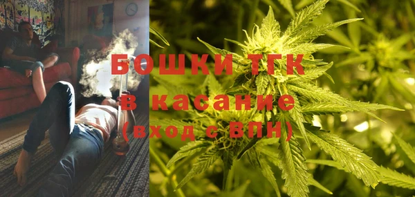 PSILOCYBIN Белокуриха
