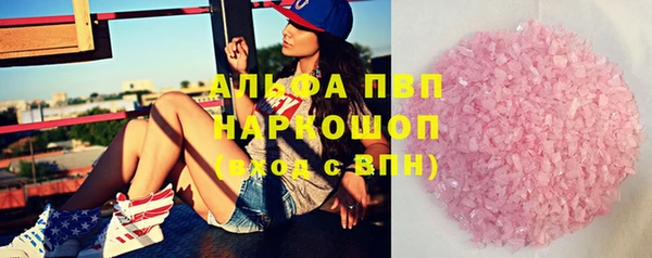 PSILOCYBIN Белокуриха