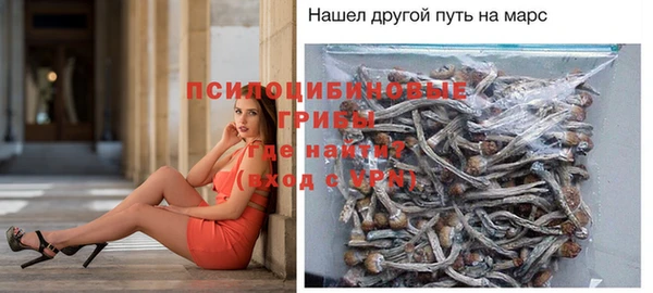 PSILOCYBIN Белокуриха