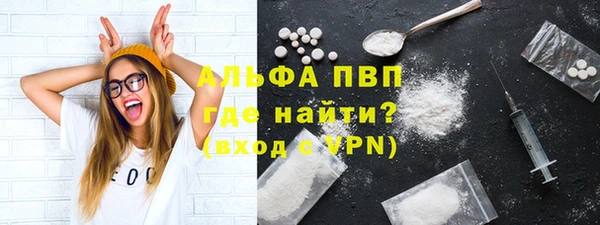 PSILOCYBIN Белокуриха