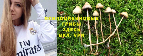 ГАЛЛЮЦИНОГЕННЫЕ ГРИБЫ Беломорск